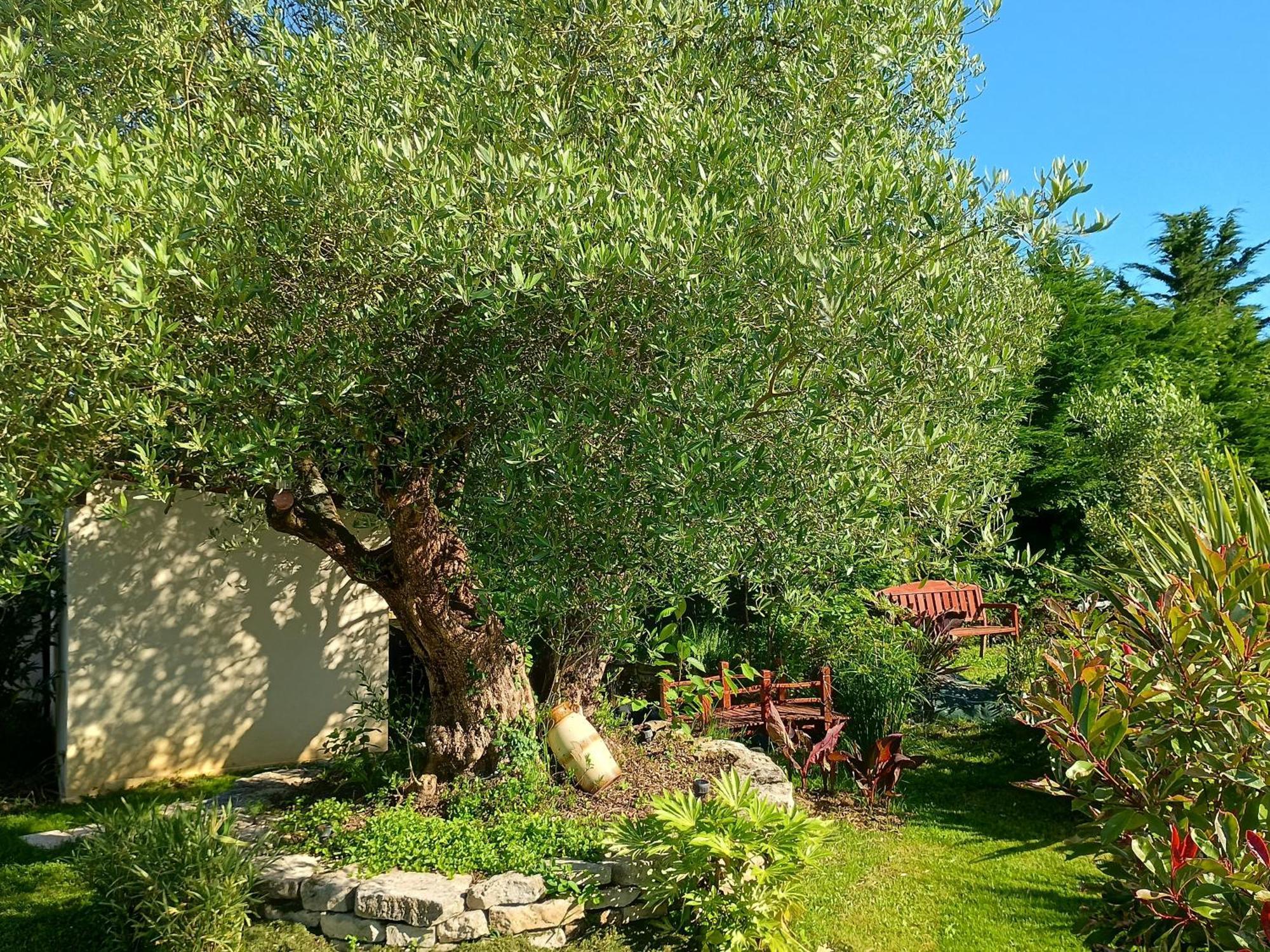 Gite Les Rosiers Au Domaine Des Sauvineries Saint-Germain-de-Princay Esterno foto